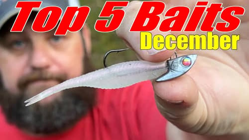 REMEMBER These Lures In DECEMBER