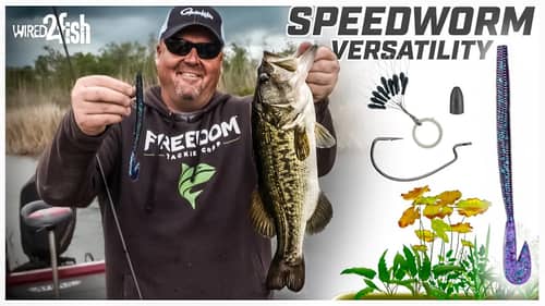 Catch More Bass with the Ultimate Speed Worm Setup