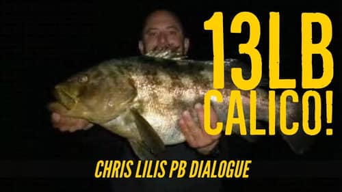 13lb Calico Bass Stories by Lil Ceez - Dialogue