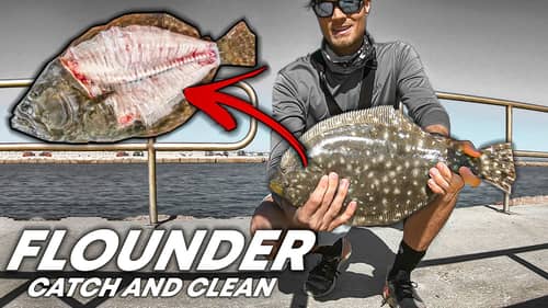 using live bait for flounder? FLOUNDER CATCH AND CLEAN