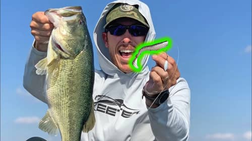 This Place has 22 Bass Lakes?! Fishing NEW Saucy Swimbait & Worms