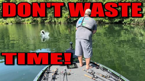 Signs You're Fishing the Wrong Location