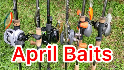 The Baits to Use in April - Bass Fishing