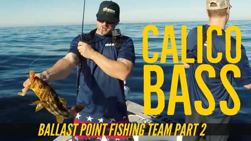Calico Bass Fishing with Ballast Point Brewery Fishing Team Part 2