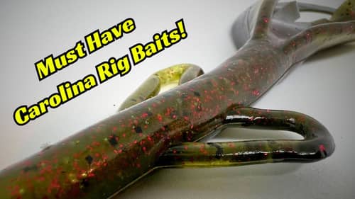You Need To Try These Carolina Rig Baits!