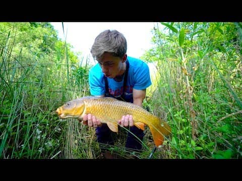 Fishing With Bread For HUNGRY Topwater Carp -- Ch. 3