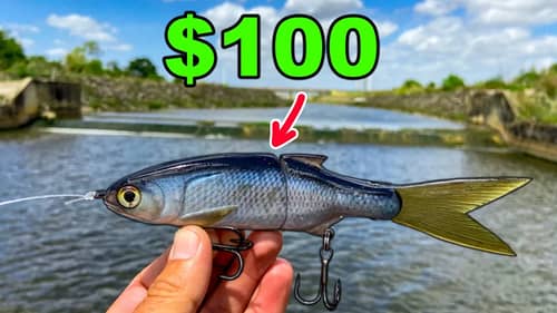 I Bought an EXPENSIVE Swimbait and It Was a HUGE Mistake