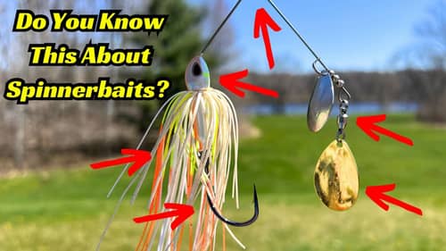 Most Anglers Don’t Fully Understand Spinnerbaits? There Are So Many Components To Understand!