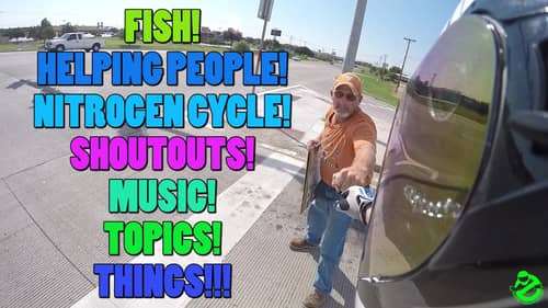 FISH + HELPING SOMEONE + NITROGEN CYCLE + SHOUTOUTS!!!