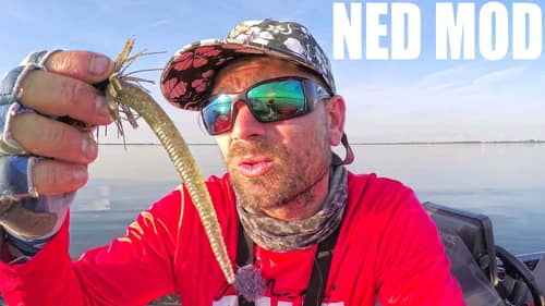 NED RIG DIY MOD you HAVE TO TRY BASS FISHING