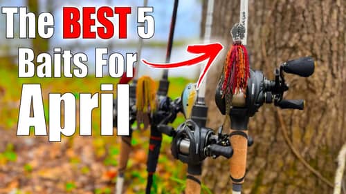 The BEST 5 Baits To Use For April Bass Fishing