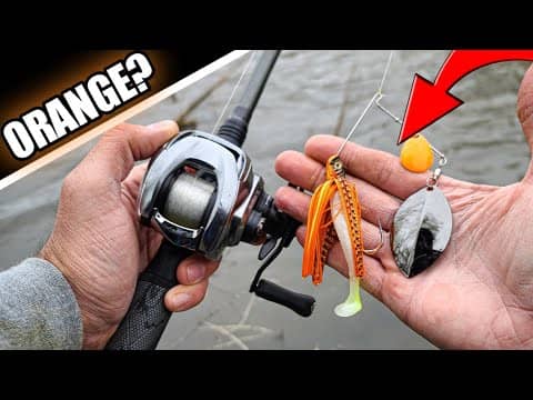 Bank Fishing with an ORANGE Spinnerbait (GREAT Results!)