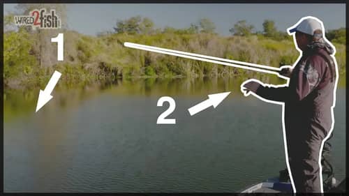 The 2 MOST IMPORTANT Considerations in COLD FRONT Bass Fishing