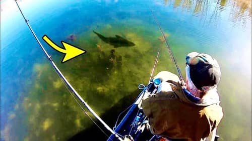 EPIC FISHING in INSANELY CLEAR POND!
