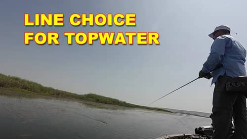 Is Braided Line Good For Topwater Baits? | Bass Fishing