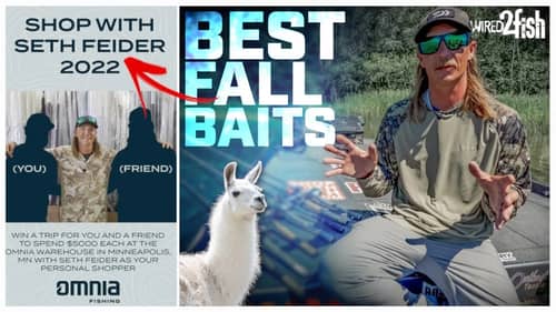 Best Fall Bass Baits | Seth Feider’s Shopping List