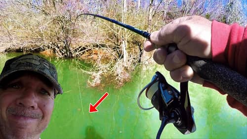 AMAZING FISHING HACK!!! (Catch LOADS Of Fish When THIS Happens!)