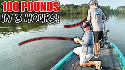 RECORD DAY Fishing the BEST Lake in the Country! (Unbelievable)