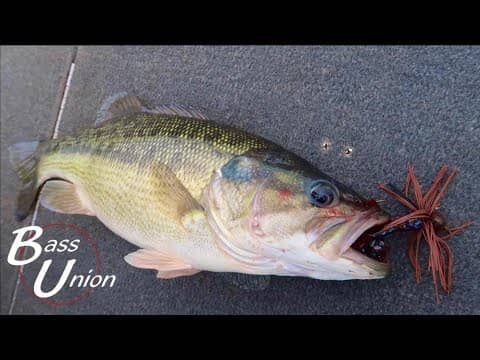 !!! WINTER JIG FISHING !!! Catching Quality Spotted Bass After A Special Announcement