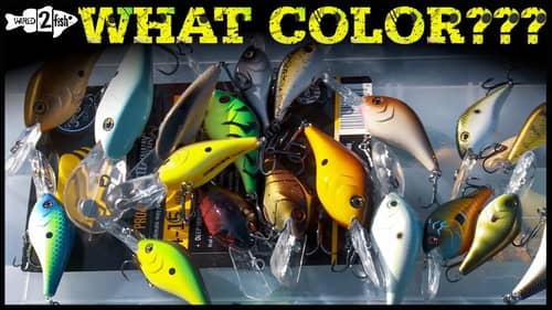 Crankbait Color Selection Tips and When to Change
