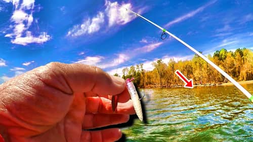 The Bait That Catches Monsters! Deadly Crappie Fishing Setup!