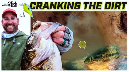 Spring Bass Fishing: Dialing In On The Dirt For Big Catches!