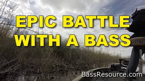 Epic Battle with A Bass Caught On Tape! | Bass Fishing