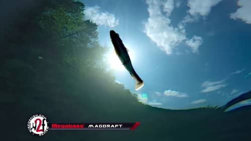 Megabass Magdraft Underwater Video