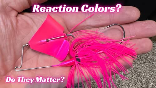 These COLORS Create Reaction Strikes From Bass!