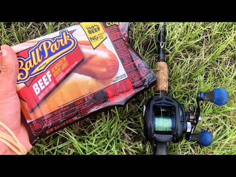 MONSTER CATCHES using HOT DOGS as BAIT!!