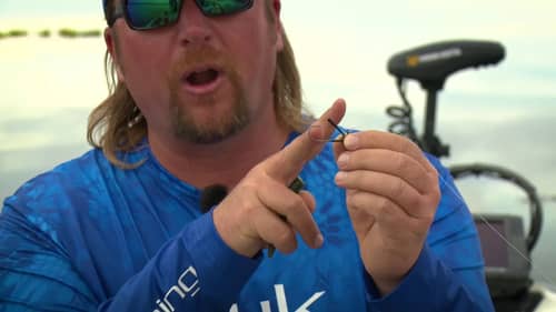Don't Lose GIANT Bass Fishing a Ned Rig with a TINY Trout Hook