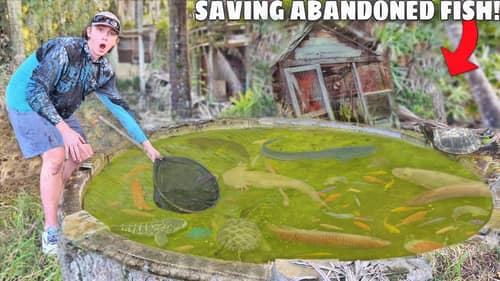 Saving Fish & Turtles From ABANDONED POND!