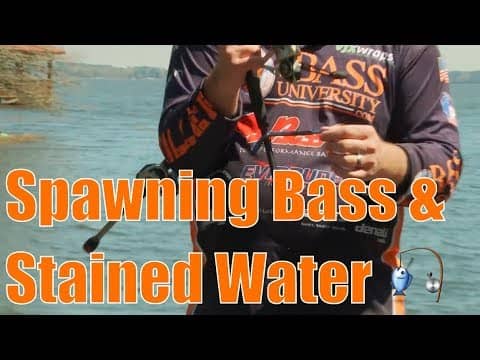 Catch Spawning Bass Fishing Stained Water