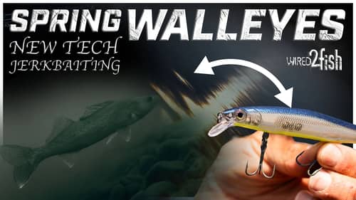 Mastering Spring Walleye Fishing With Jerkbaits | Pro Tips And Techniques