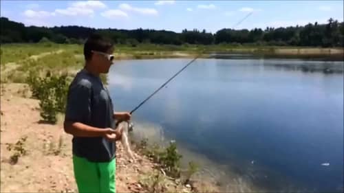 Bass Fishing Catches (SHORT)