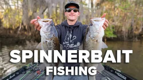 Fishing Spinnerbaits in Shallow Cover for Bass