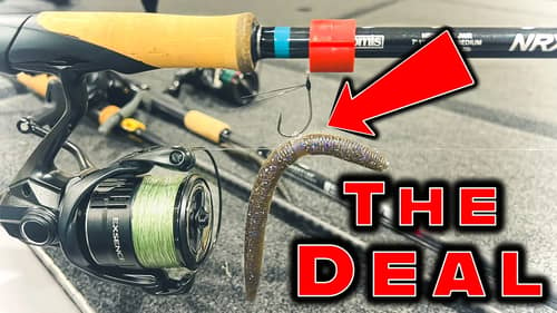 Neko Rig Fishing: Everything You Need To Know To Catch Bass!