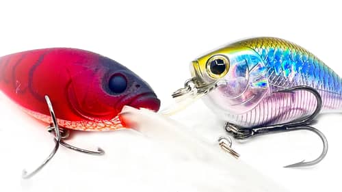 Best Crankbaits For Fall Bass Fishing!