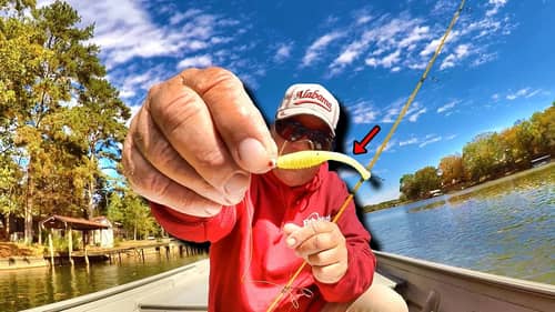 THIS Jig DOMINATES Crappie Fishing In The Fall!