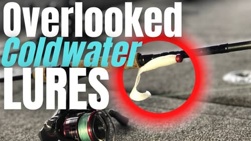 3 COLDWATER Lures You Are OVERLOOKING...