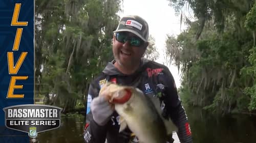 Candidate for Topwater bite of the Year — Matt Arey at St. Johns River