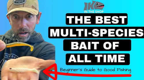 The BEST Multi-species LURE of ALL TIME (Beginner's Guide to Good Fishing)