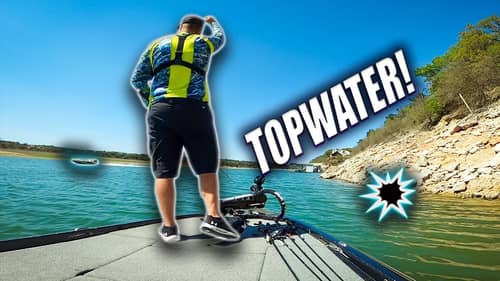 First Topwater Fish Of 2021! 6th Sense Catwalk, Finesse Creature Baits, & CHESTER CHEETO!