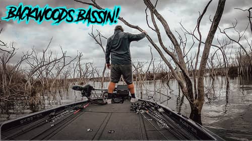 BACKWOODS BASSIN! Fishing with Chatterbaits For Pre-Spawn Aggressive Largemouth Bass!