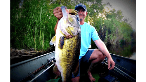 Understanding Big Bass - How to Catch a Trophy Largemouth