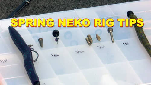 Neko Rig for Spring: What You Need To Know | Bass Fishing