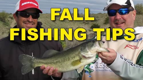 Fall Bass Fishing Tactics with Justin Kerr | Bass Fishing