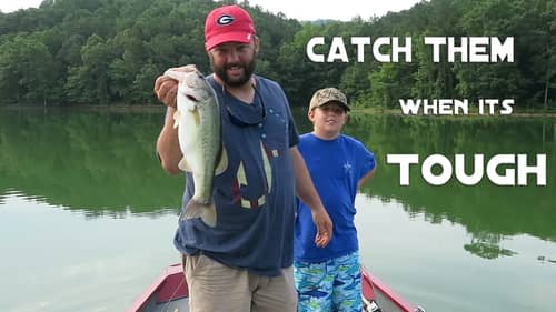 Bass Fishing - Can't Get a Bite? Here's Three Ways To Catch Them