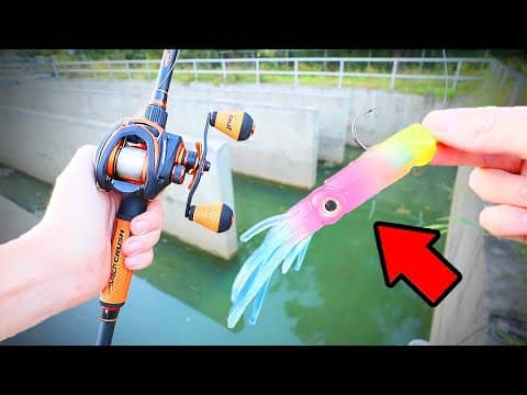 CRAZY Saltwater Fishing Lure Catches BIG BASS!