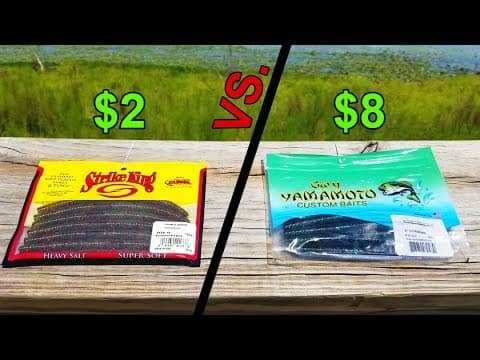Cheap Senko VS. Expensive Senko -- Fishing Challenge